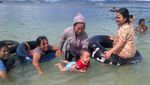 3 Pantai Indah Dekat Bandar Lampung