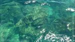 3 Pulau Cantik di Phuket