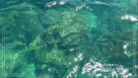 Green Water of Phi2