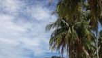 3 Surga Tersembunyi di Painan, Sumbar