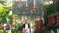 Nong Noch Tropical Garden