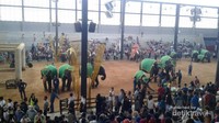 elephant stage in Nong Noch Village
