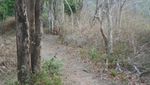 4 Hari Petualangan Paling Menakjubkan di Pulau Moyo