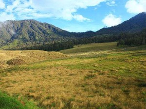 4 Padang Savana Terindah di Indonesia