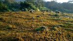 5 Alasan Mengapa Kamu Harus ke Alun-alun Surya Kencana