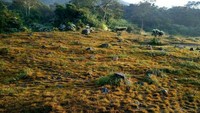 Keindahan yang Jarang Ditemui di Gunung Lain
