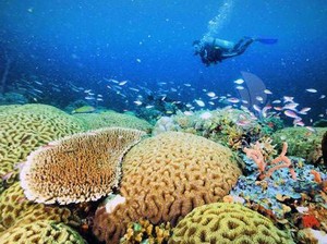 5 Alasan Wisatawan Kepincut Halmahera Barat