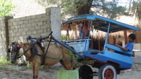 Cidomo (dok. Putri/detikTravel)