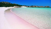 Pink Beach, Pulau Komodo (sofluna.com)