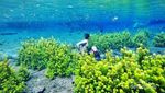 5 Destinasi Wisata Anti Stress Di Malang