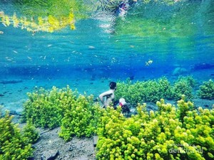 5 Destinasi Wisata Anti Stress Di Malang