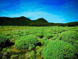 5 Gunung Ini Bersahabat Bagi Para Pendaki Pemula