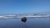 Bermain pasir di bibir pantai