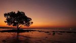5 Pantai Cantik untuk Melihat Sunset Di Kupang