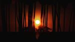 5 Pantai Cantik untuk Melihat Sunset Di Kupang