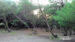 5 Pantai di Purworejo yang Wajib Dikunjungi