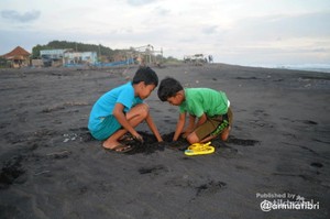 5 Pantai di Purworejo yang Wajib Dikunjungi
