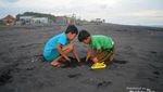 5 Pantai di Purworejo yang Wajib Dikunjungi