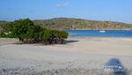 5 Pantai Eksotis di Pulau Rote