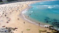Pantain Bondi (katzatbondibeach.com.au)