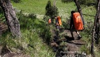 Sabana Gunung Lawu