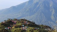 Sabana Gunung Merbabu