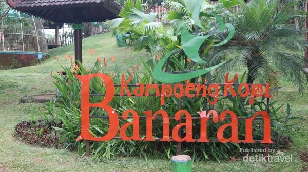 Tidak hanya menikmati kopi, terdapat aneka aktivitas dan permainan seru yang bisa dinikmati di Kampung Kopi Banaran Tidak hanya menikmati kopi, terdapat aneka aktivitas dan permainan seru yang bisa dinikmati di Kampung Kopi Banaran