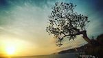 5 Rekomendasi Tempat Melihat Sunset di Jogja