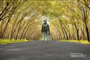 5 Rekomendasi Wisata Di Lampung yang Memesona