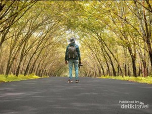 5 Rekomendasi Wisata Di Lampung yang Memesona