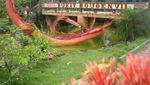 5 Tempat Liburan Asyik di Kalimantan