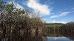 5 Tempat Liburan Asyik di Kalimantan