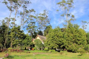 5 Tempat Terbaik Back to Nature