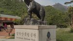 5 Tempat Wisata di Korea Selatan yang Wajib Dikunjungi