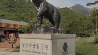 Patung Beruang yang ada di Seoraksan National Park yang diyakini masyarakat Korea Selatan sebagai nenek moyangnya.