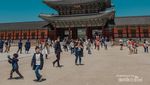 5 Tempat Wisata di Korea Selatan yang Wajib Dikunjungi