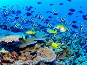 5 Tempat Wisata Ini di Ambang Kehancuran!