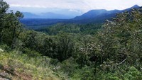 Gunung Lawu (Firman ardiansyah/dtraveler)
