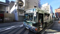 Keliling kyoto, wajib naik bus
