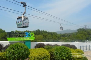 5 Tips Liburan Murah ke Hong Kong