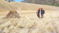 Sabana eksotis yang cantik mengelilingi Ranu Kumbolo