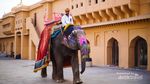 6 Destinasi yang Wajib Didatangi di Jaipur, India