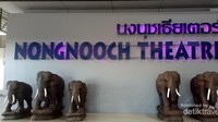 Nongnooch Theatre merupakan tempat untuk melihat pertunjukan gajah-gajah dan juga tempat untuk melihat pameran-pameran mobil dan juga taman bunga.