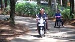 6 Tempat Camping Bebas Macet, Cuma 60 Menit dari Jakarta!