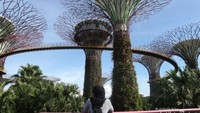 Foto di salah satu tempat hitsnya Singapore, Garden by The Bay