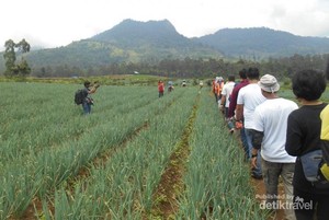 7 Aktifitas Seru Saat Berkunjung ke Hulu Citarum