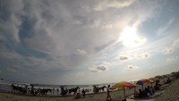 Pantai Parangtritis
