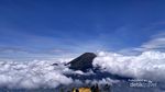 7 Hal yang Harus Diperhatikan Pendaki Pemula