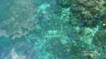7 Hal yang Perlu Diperhatikan Sebelum ke Raja Ampat