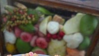 Rujak bebek